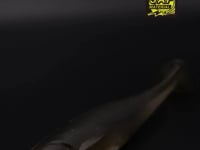 Geecrack Crackdown Dual Line Through Swimbait - 6 Inch