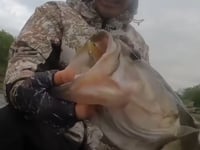 Geecrack Crackdown Dual Line Through Swimbait - 6 Inch