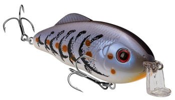 Blue Craw