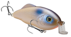 Oyster