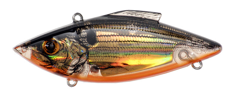 Bill Lewis Rat-L-Trap Lectric Shad Series Lipless Crankbait Bass Fishing  Lure — Discount Tackle