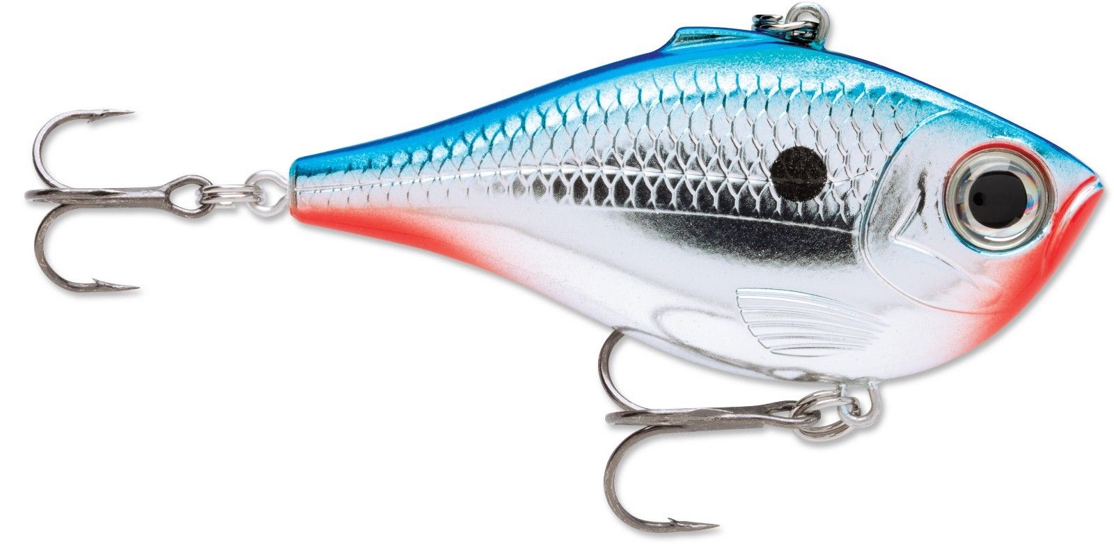 Rare Rapala Risto Rap #7 Crankbait Tennessee Shad RR-7 TSD Rare Rapala Risto Rap #7 Crankbait Tennessee Shad RR-7 TSD