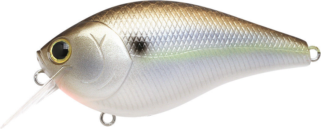 LUCKY CRAFT NETWORK MEMBER'S NW 2000 Fishing Lure #AJ34   #bass #fish #catchandrelease  #fishinglife