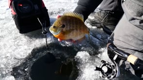 13 Fishing Kalon A Ice Fishing Spinning Reel