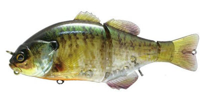 Jackall Jackall Lures Gantarel Jr. Swimbaits - Buy Jackall Online at  Carolina Fishing Tackle LLC