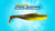 Z-Man DieZel MinnowZ 5 inch Paddle Tail Swimbait 4 pack