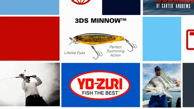 Yo-Zuri 3DS Minnow Suspending Shallow Diving Rip Bait