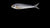 LIVETARGET Flutter Shad Jigging Spoon