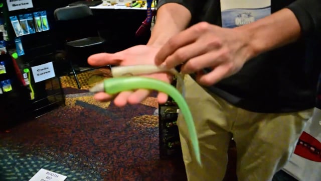 Gambler Eel Ribbed Single Tail Soft Plastic Trailer