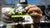 Xzone Adrenaline Bug 4 inch Soft Plastic Creature Bait 8 pack