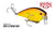 Strike King KVD Square Bill 1.5 Shallow Silent Crankbait