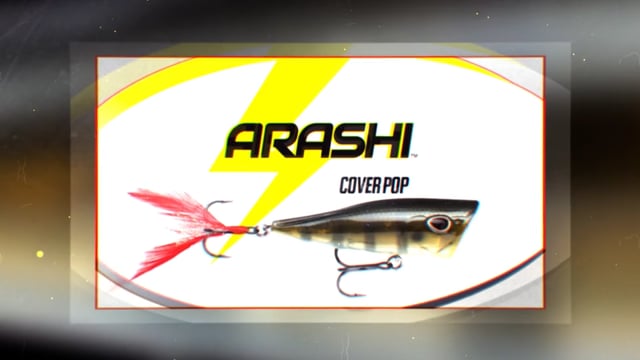 Storm Arashi Cover Pop 3 1/8 inch Topwater Popper
