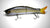 River2Sea S-Waver 120 Hard Body Swimbait