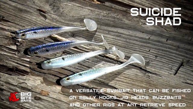 thumbnail image 2 of AWD BAITS WOW GRUBS - 2\" TENNESSEE SHAD/CHARTREUSE GLITTER (WG3 2 of 9