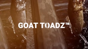 Will Frog Lures Work Inshore? [Z-Man Goat ToadZ Review]