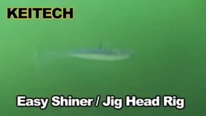 Keitech Easy Shiner 4 inch Paddle Tail Swimbait