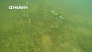 13 Fishing Cliff Banger Medium-Deep Diving Crankbait