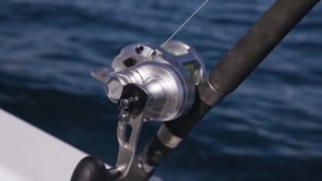 Shimano SpeedMaster II 2-Speed Lever Drag Conventional Reels — Discount  Tackle