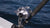 Shimano SpeedMaster II 2-Speed Lever Drag Conventional Reels