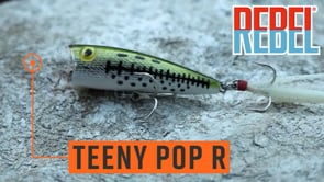 Rebel Super Pop-R 3 1/8 inch Topwater Popper