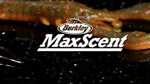 Berkley PowerBait MaxScent Lil' Super Trooper - 2.5 Inch