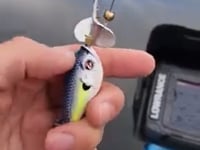 At first glance I thought these R2S Opening Bell inline buzz Topwaters were  gonna be a joke, made a couple adjustments for the laughable hook  placements now I'm thinking it'll be pretty