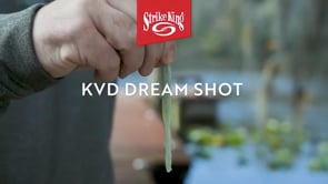 Strike King KVD Dream Shot 4 inch Drop Shot Bait 10 pack