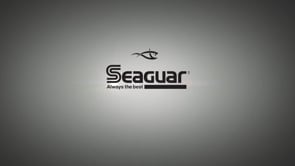 Seaguar STS Salmon Fluorocarbon Leader Fishing Line, 25-Pound/100