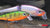 Rapala Balsa Xtreme BX Minnow 10 Medium Diving Jerkbait