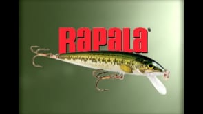 Rapala Husky Jerk Suspending Rattlin HJ 06 SB Silver Blue Fishing Lure -  //WE ARE RACESPOT