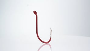 Octopus Beak Fishing Hooks 100 Pack 7/0 - Size 92554 - Freshwater & Saltwater Use - Strong & Sharp Octopus Beak Hooks 7/0 Octopus Beak Fishing Hooks 100 Pack 7/0 - Size 92554 - Freshwater & Saltwater Use - Strong & Sharp Octopus Beak Hooks 7/0