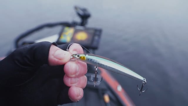 Daiwa Td Minnow 95sp Jdm Suspending Jerkbait | Desertcart