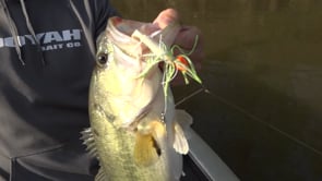 Booyah Double Willow Blade Spinnerbait