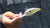 Bomber Fat Free Shad Jr. 2 1/2 inch Deep Diving Crankbait