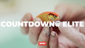Rapala Countdown Elite CDE75 3 inch Slow Sinking Crankbait — Discount Tackle