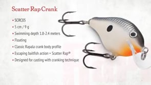 Rapala Scatter Rap Crank 05 2 inch Medium Diving Crankbait