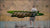 iRod Genesis III Series Spinning Rods