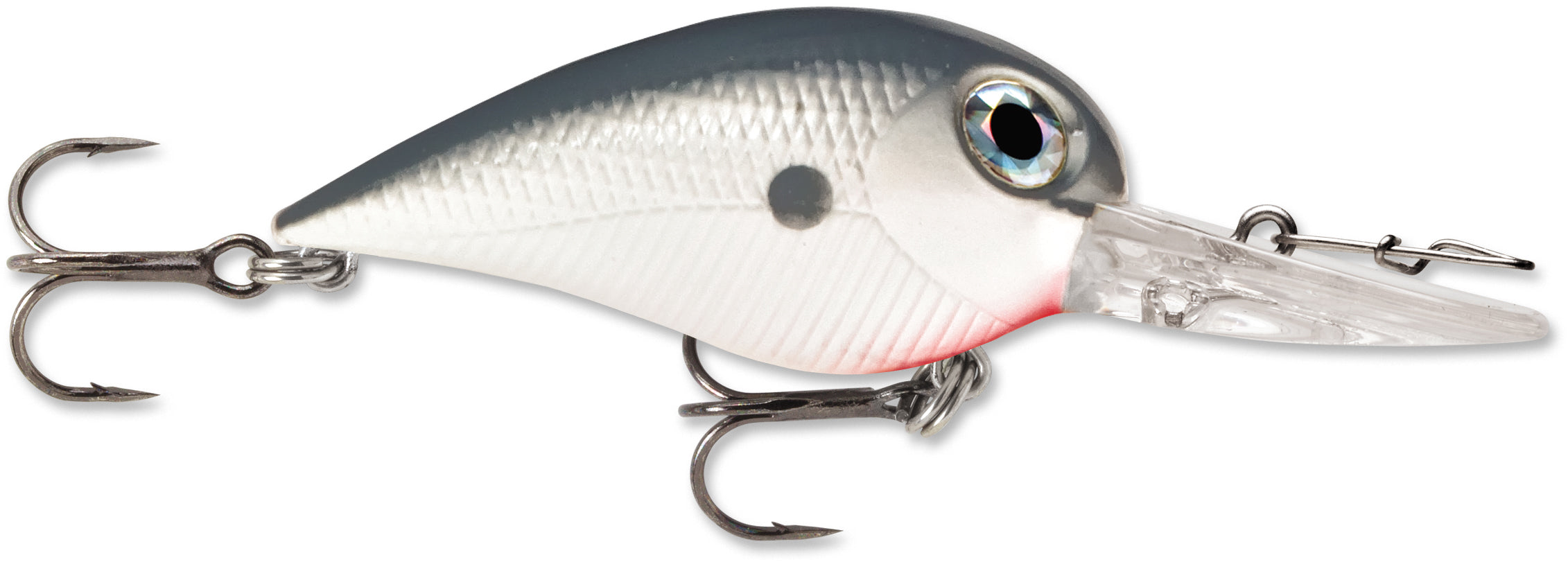  Storm Wiggle Wart MadFlash Hard Bait Lure : Fishing Topwater  Lures And Crankbaits : Sports & Outdoors