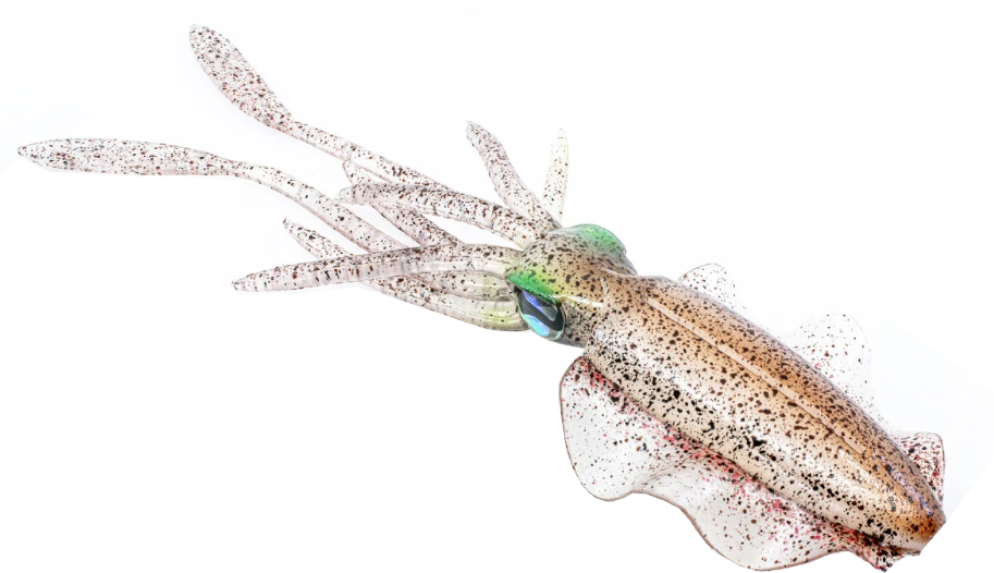 Chasebaits The Ultimate Squid 150/200/300 Soft Lure — Discount Tackle