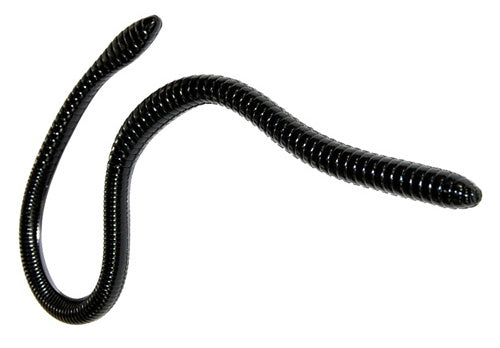 Gambler ER16 16 inch Soft Plastic Worm