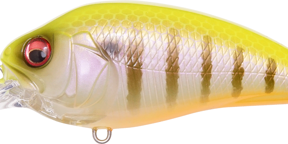 31680779255897_1200x600_crop_c