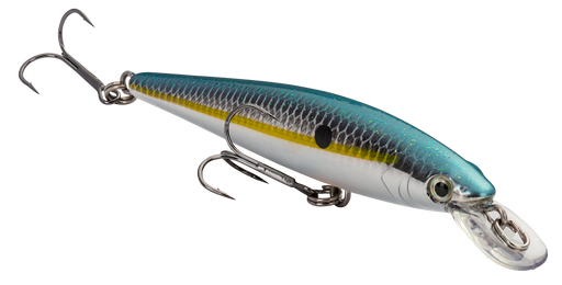  5.5 Jack The Ripper Suspending Jerkbait Bass Lure Fishing  Suspended Bait Life-Like Diving Deep Trout Shad (Dark Rainbow Trout INJ) :  Sports & Outdoors