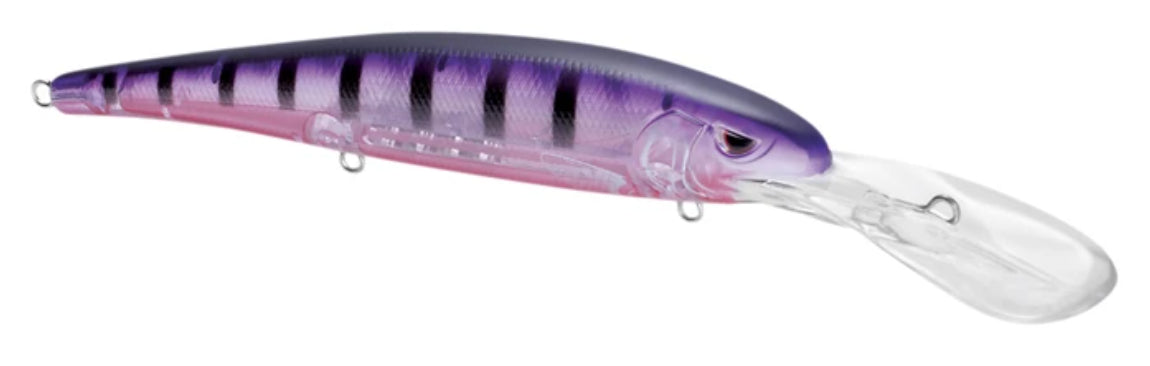 More Minnow Misconceptions – The Fisheries Blog