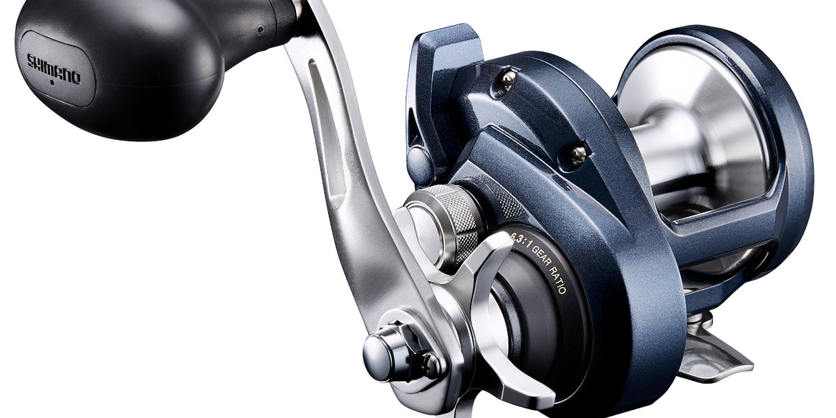 royal purple in shimano reels Shimano Torium Star Drag Conventional Reels — Discount Tackle