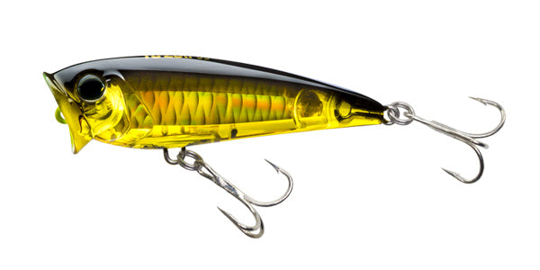 Yo-Zuri 3D Inshore Popper (F) 70mm 2-3/4 Mullet Floating Lure, Topwater  Lures -  Canada