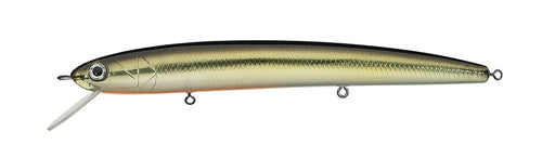 Daiwa Soft Leurre Kaiteki Real Okiami 3L 58 mm 5 per paquet Namaokiami Daiwa Soft Leurre Kaiteki Real Okiami 3L 58 mm 5 per paquet Namaokiami