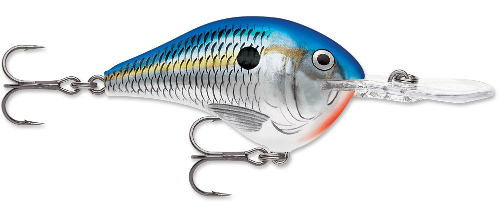 Rapala DT (Dives-To) Series Blue Shad