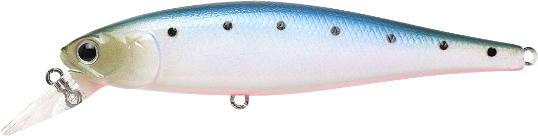 Lucky Craft Pointer 100-mm Bait (MS American Shad, 4-Inch