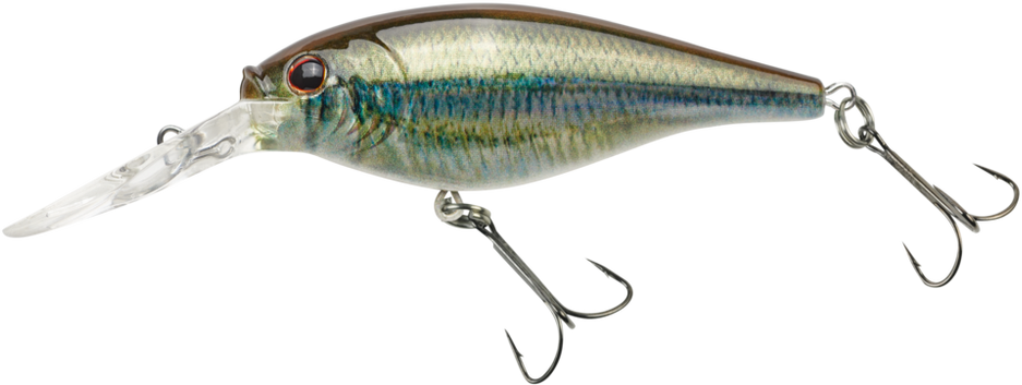 Bagley Balsa B3 BB3-SD Shad Color New In Box OLD STOCK – My Bait Shop, LLC - Foto 3