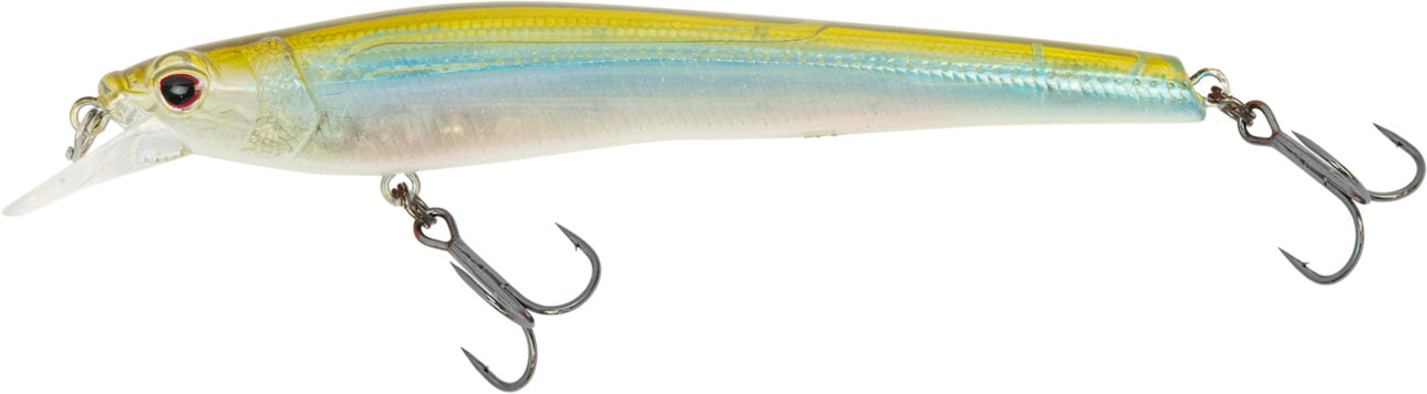 Nomad Design Shikari Fishing Lures, Premium Long-Casting, Shallow Diving,  Slow Floating Jerkbait, for Inshore Saltwater Species Such as Snook,  Seatrout, 145 SUS FR 5-3/4 - 1oz - Candy Pilchard, Topwater Lures -   Canada